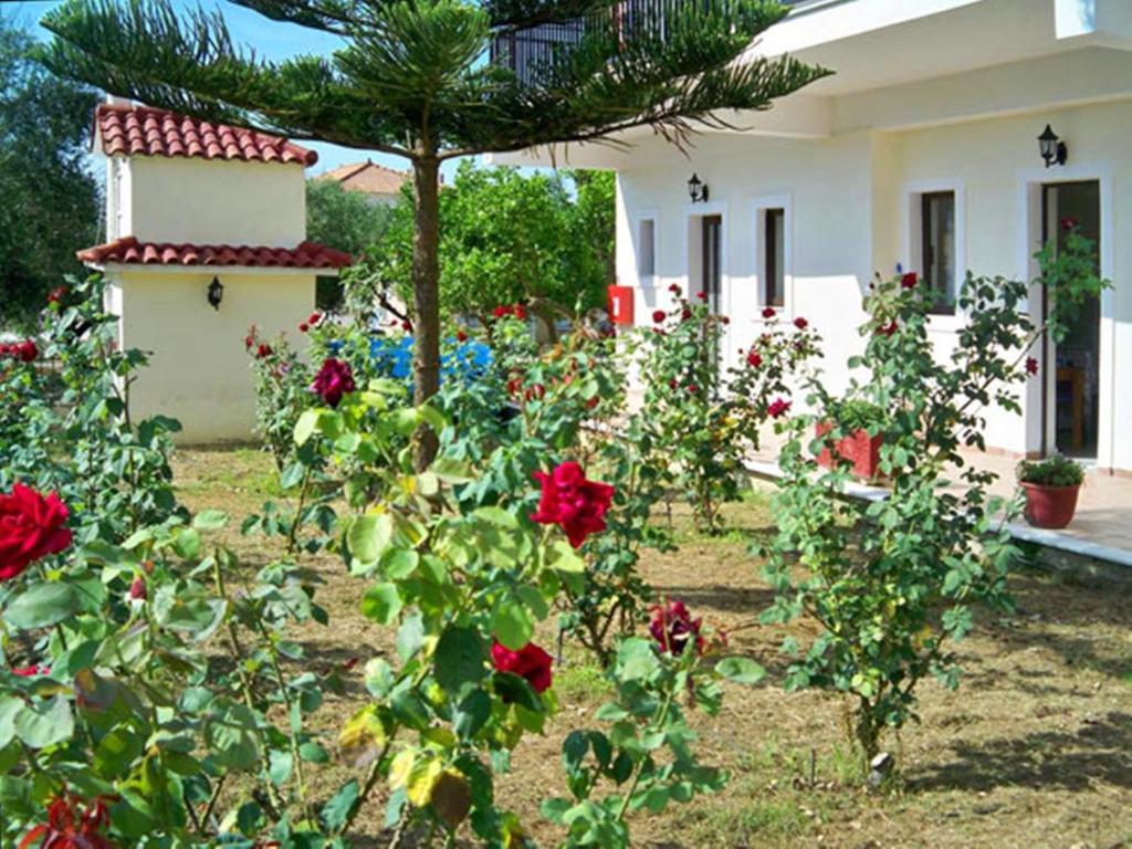 Апартаменты Red Rose Garden Циливи Экстерьер фото